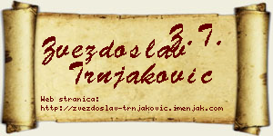 Zvezdoslav Trnjaković vizit kartica